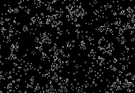 A Big Conway's Game of Life