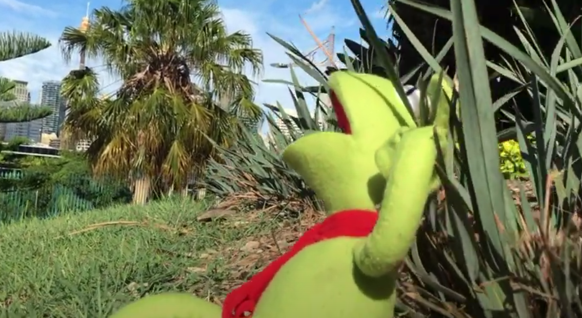 Kermit Saves the Day